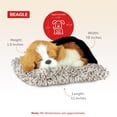 thumbnail image 2 of Perfect Petzzz - Original Petzzz Beagle, Realistic Lifelike Stuffed Interactive Pet Toy, Companion Pet Dog with 100% Handcrafted Synthetic Fur, 2 of 3