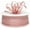 Blush, variant on 1/8" X 100 Yard Double Faced Satin Ribbon Art Sewing Party Favor Gift Ribbon (Blush)