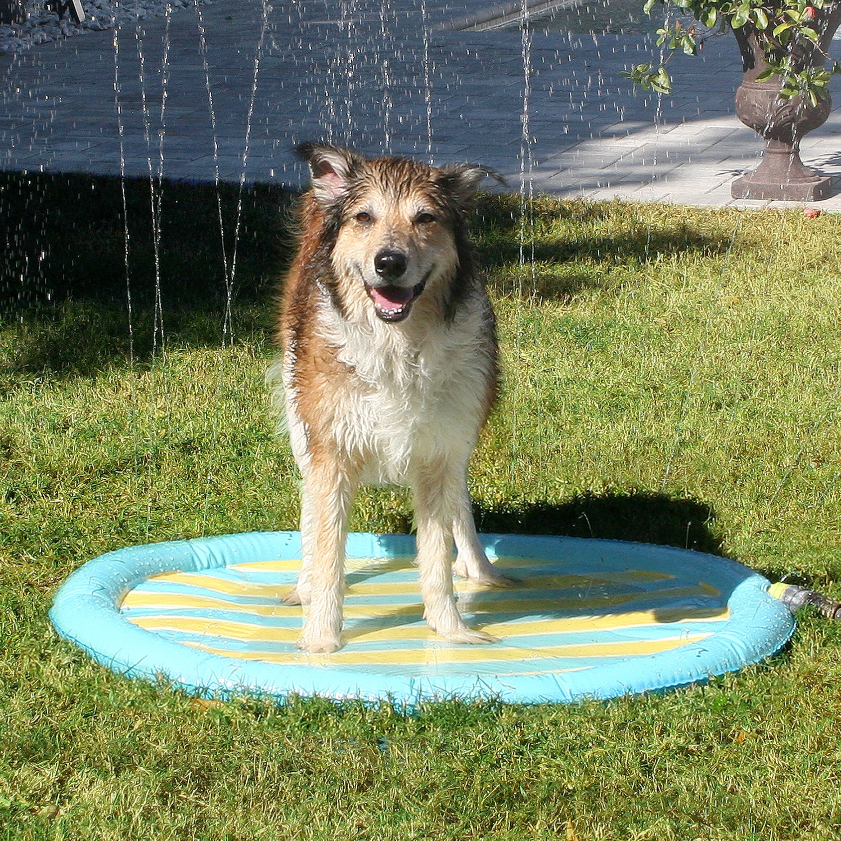 Vibrant Life Pet Splash Mat