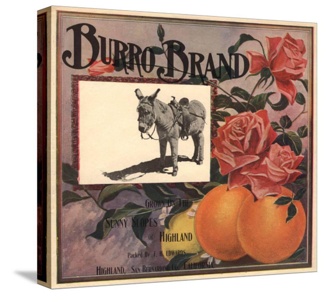 Highland Burro Donkey Pink Rose Flowers Orange Citrus Fruit Crate Label Print 