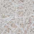 thumbnail image 1 of Cojín de césped arrugado cortado con trozos de papel, 130 ml, color blanco, 1 of 6