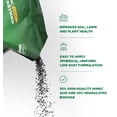 thumbnail image 3 of The Andersons HumiChar Organic Soil Amendment with Humic Acid and Biochar Covers 12,000 sq ft (12 lb), 3 of 6