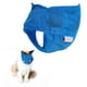 thumbnail image 3 of Bozales Para Gatos Cubierta De Malla Poliéster Malla Bozales Para Gatos Manga Gatito Ajustable Bozal De Tela Anti-Mordida Bolsa De Limpieza Para Gatos Para Limpieza De Baño De Gatos Sweethay PT001681-01, 3 of 6