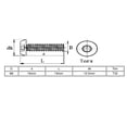 thumbnail image 4 of M6x16mm 304 Stainless Steel Button Head Torx Security Tamper Proof Screws 30pcs, 4 of 4