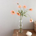 thumbnail image 4 of 6 Jarrones De Tubo De , Soporte De Madera, s Hidropónicas, 3 Bolas De varios tamaños Sunnimix Jarrón floral de escritorio, 4 of 8