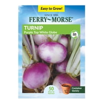 Ferry-Morse 2.3G Turnip Purple Top White Globe Biennial Vegetable Seeds, Full Sun
