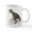 White, variant on CafePress - Cycling Tyrannosaurus Rex Mug - 11 oz Ceramic Mug - Novelty Coffee Tea Cup