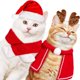 thumbnail image 3 of Conjunto de disfraz de Navidad para gato, diadema con astas de reno, gorro de Papá Noel, bufanda roja, capa para mascota, suministros de Cosplay para perro y gato, 3 of 4