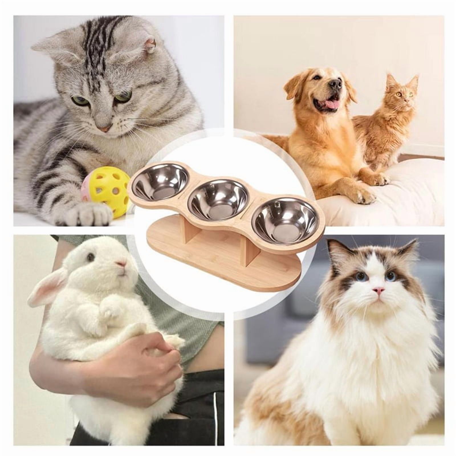 Elevated Cat Bowls with 3 Stainless Steel Bowls Elevated Cat Bowls for Food and Water 15 Degree Tilted Elevated Pet Bowl