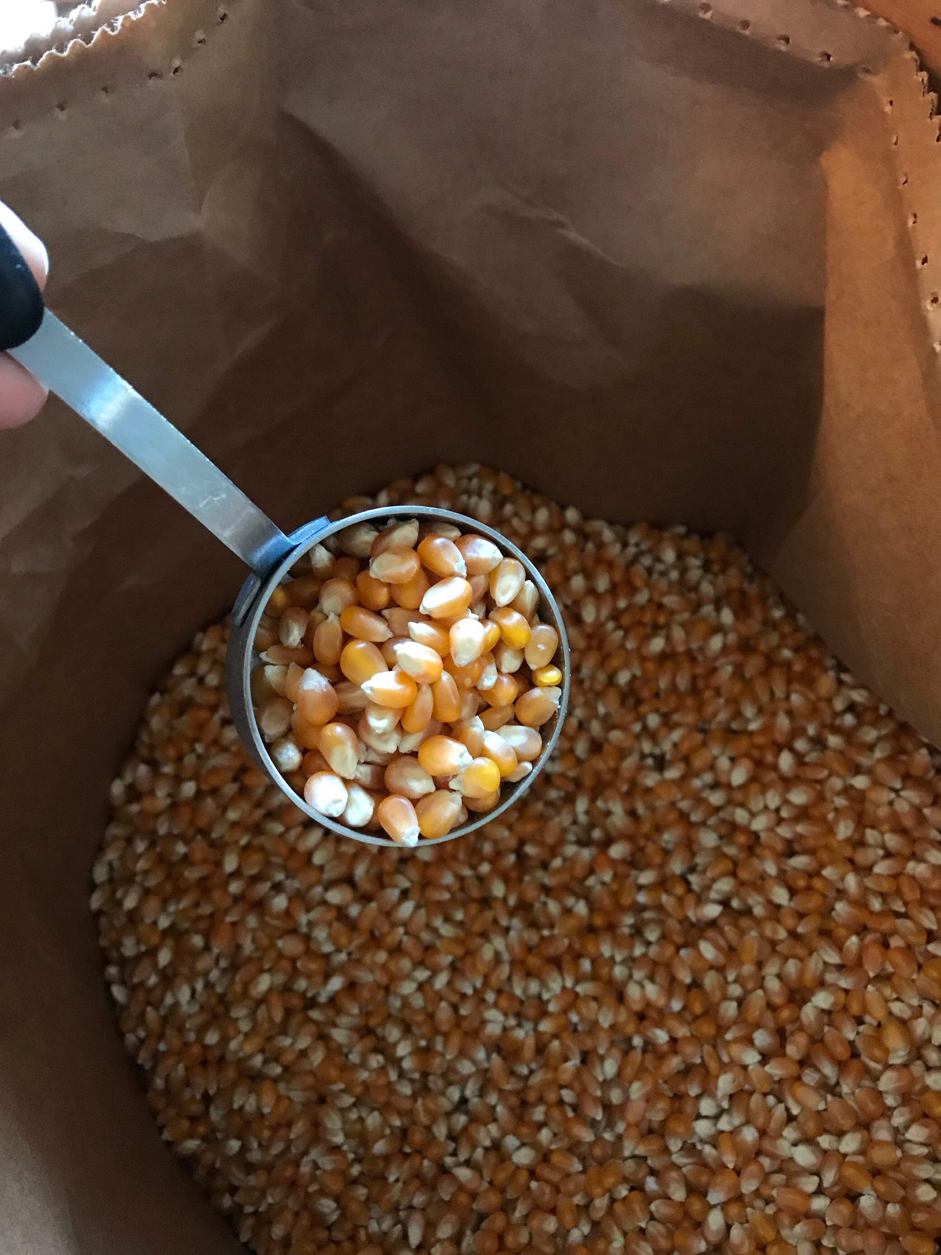 Mushroom Popcorn, 50 lb bag: Farm Fresh, Non-GMO Free Day Popcorn Kernels | Small Farm. Big Flavor