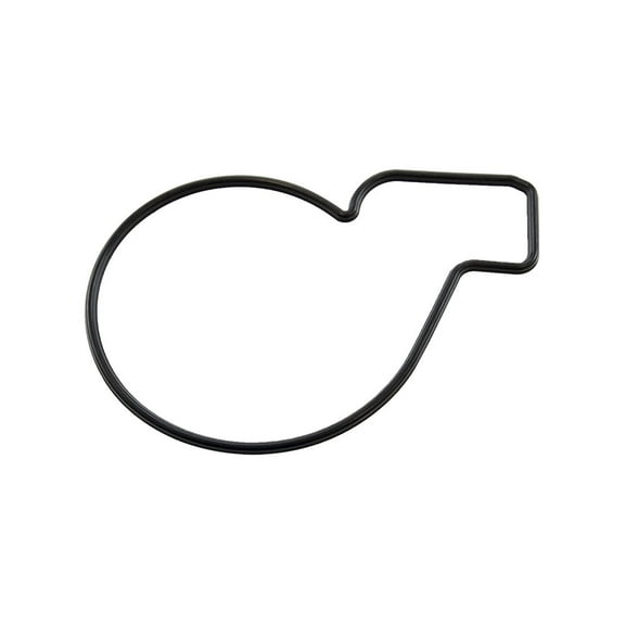 Polaris GEM Waterpump Gasket, 325, Genuine OEM Part 5414310, Qty 1