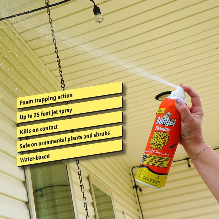 Bengal Foaming Wasp & Hornet Killer, 16 oz, 2-Pack photo 8