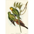 thumbnail image 2 of Gould, John 17x24 Gold Ornate Wood Framed with Double Matting Museum Art Print Titled - Black-tailed Parakeet-Polytelis melanura, 2 of 4
