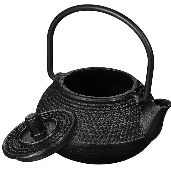 SEWCHICS Black Small Teapot Cast Iron Stovetop Tea Kettle with Iron Handle
