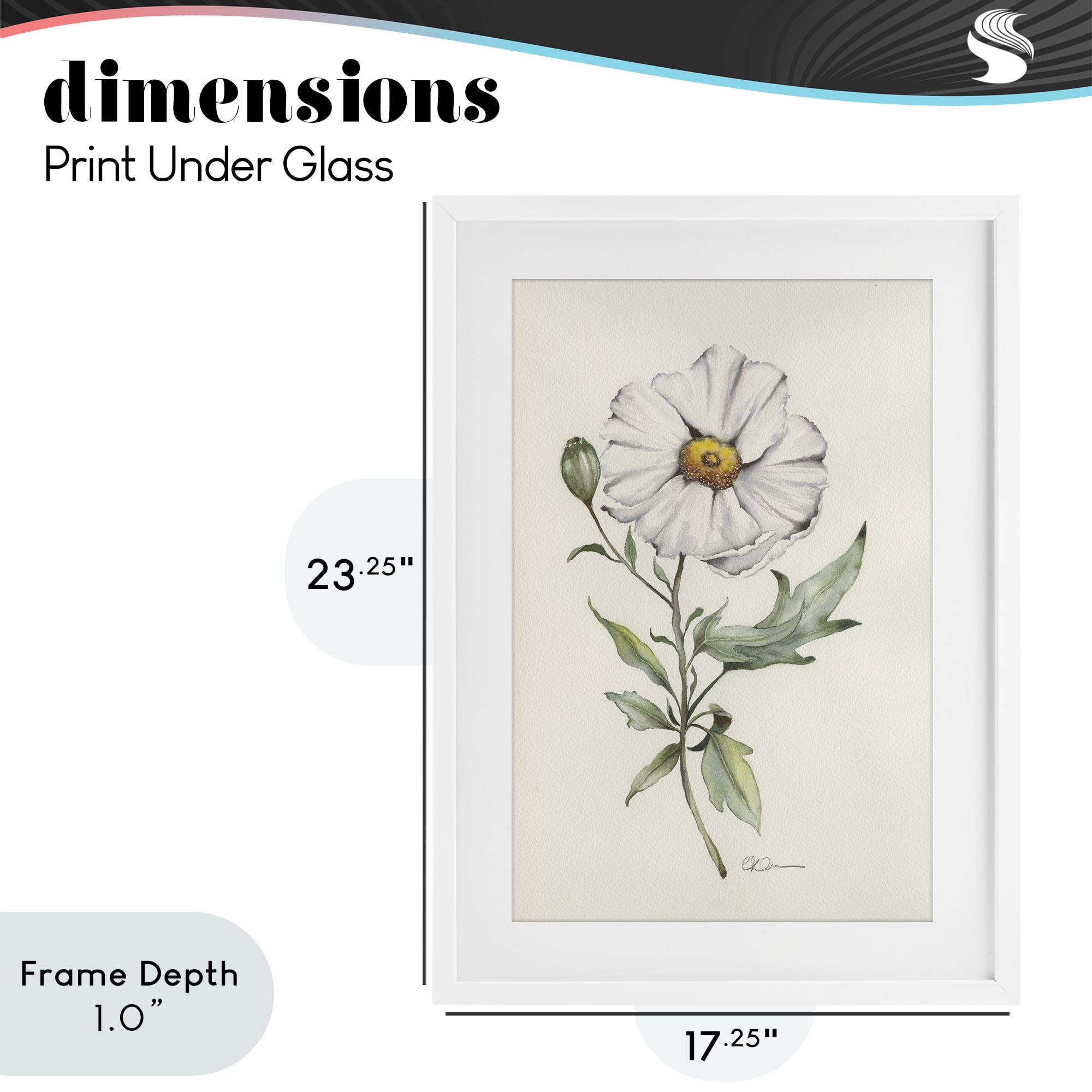 Stupell Industries Natural Wild Blossom Sprig White Framed Print Under Glass, design by Cady Driver