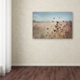 thumbnail image 3 of Trademark Fine Art 'Falling Queen Anne's Lace I Crop' Canvas Art by Elizabeth Urquhart, 3 of 3