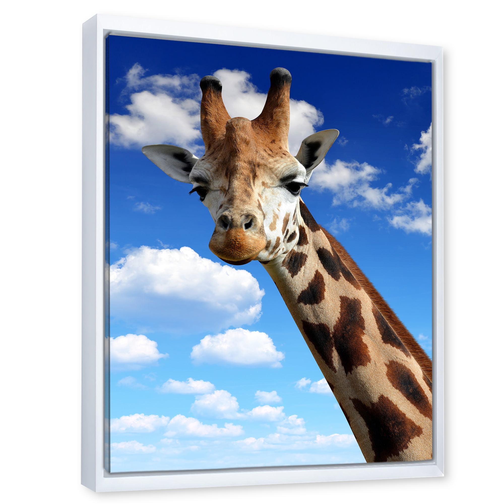 A Giraffe On A Blue Sky Portrait 12 in x 20 in Framed Photography Canvas Art Print, by Designart