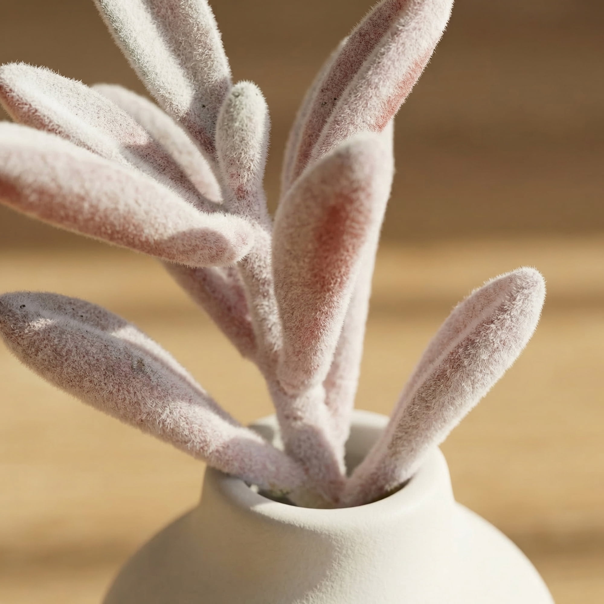 Unique Bargains 10Pcs Flocked Artificial Succulents 3.5" Peperomia Purple Money Leaf Beige