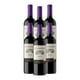 thumbnail image 1 of Pack De 6 Vino Tinto Concha Y Toro Merlot 750Ml, 1 of 3