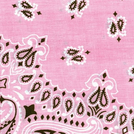Carolina Hav-A-Hank Paisley Bandanna 22"X22"-Light Pink