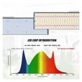 thumbnail image 2 of Carte LED LM301H Grow Light V3 avec Pilote 240W, 2 of 5