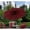 Red, variant on Donglin Furniture 9 ft. Aluminum Market Solar Outdoor Patio Umbrella in Red Beige