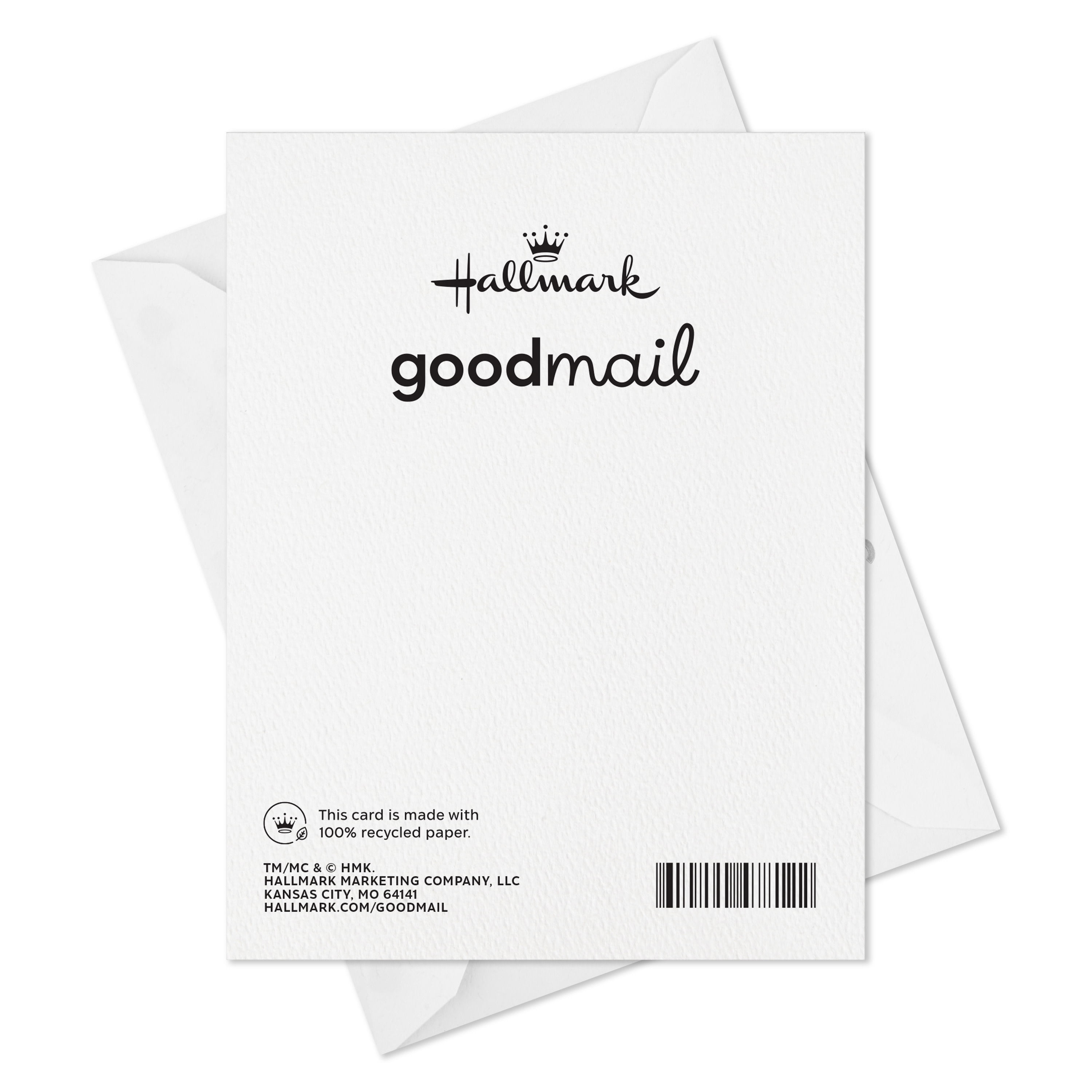 Hallmark Good Mail Birthday Card (You're the Coolest)