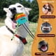 thumbnail image 5 of Juguete para perros con ventosa Wekvgz, resistente al desgaste, con forma de pelota de succión, para masticar, para perros agresivos, 5 of 8