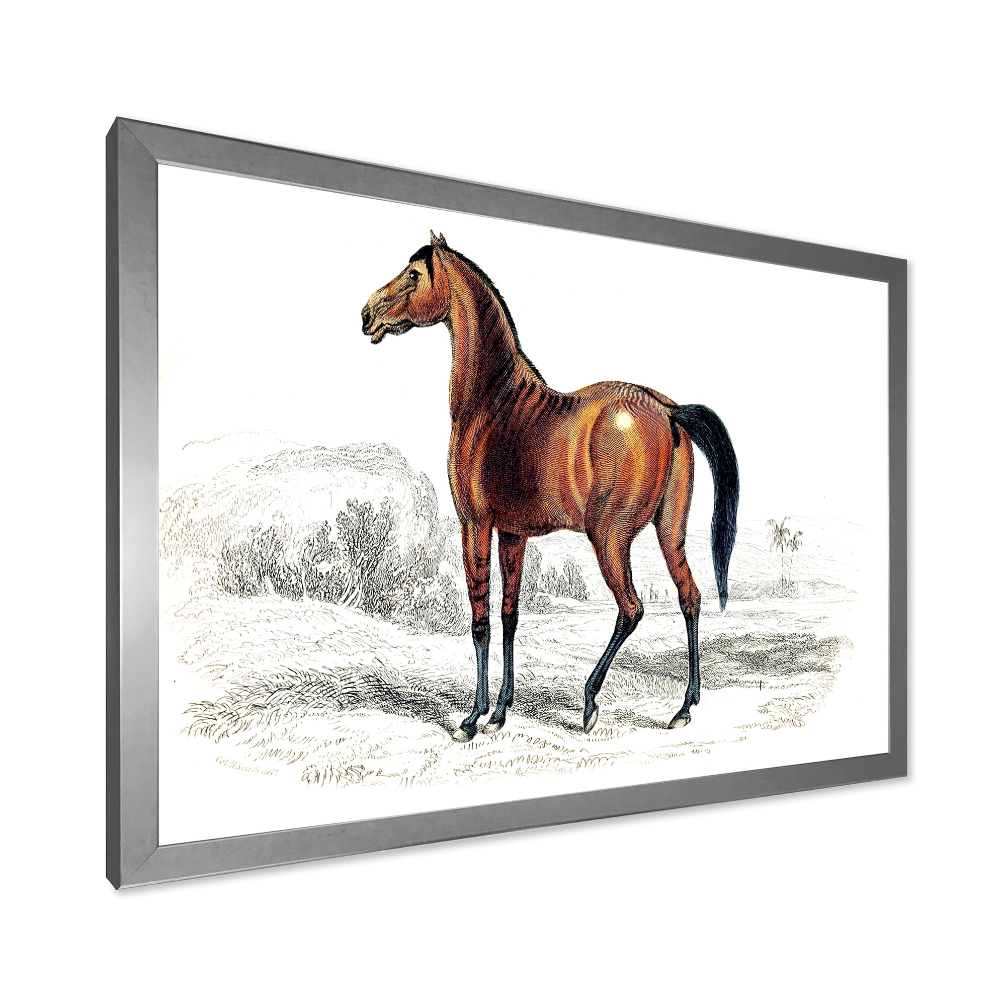 Designart 'Ancient Horse' Farmhouse Framed Art Print