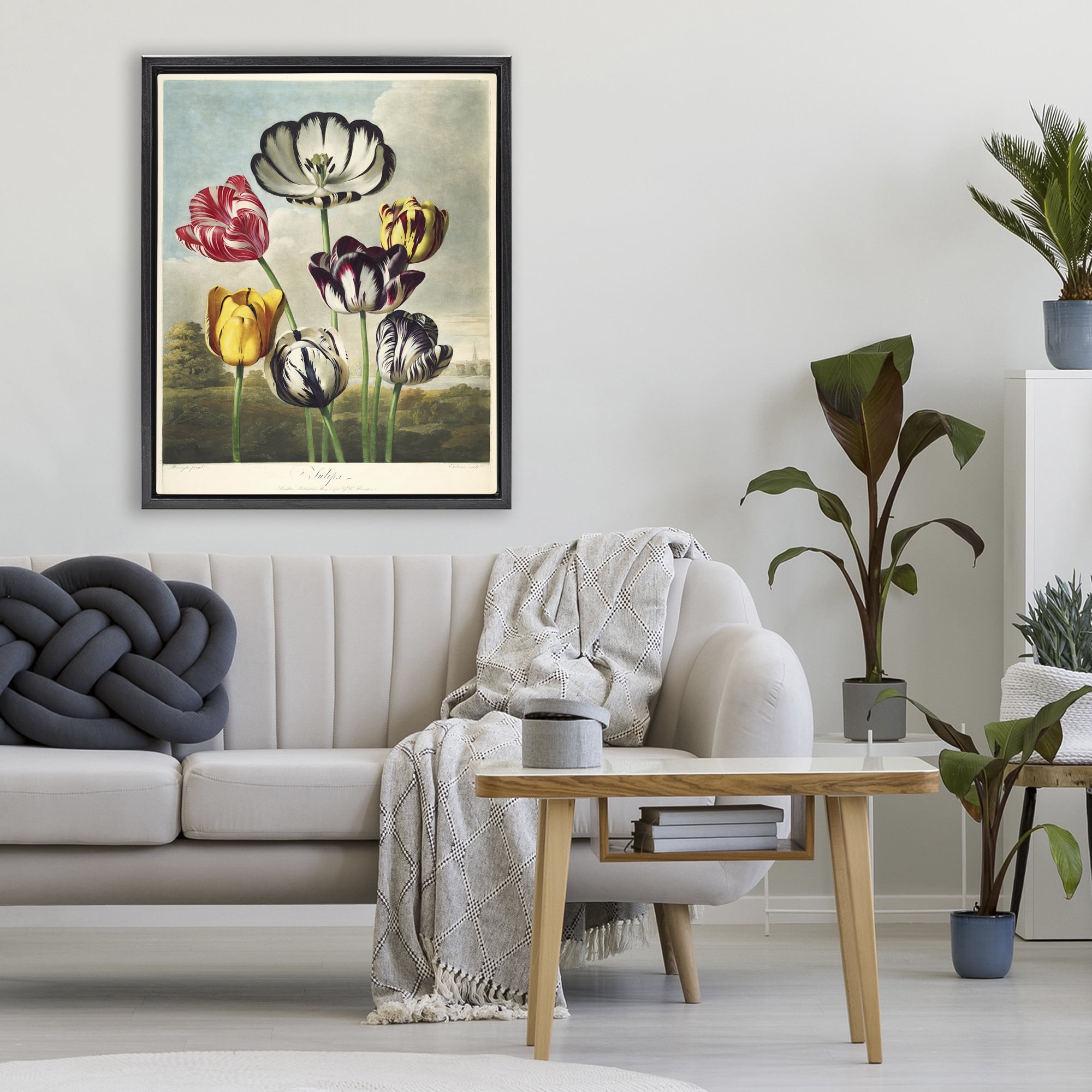 Stupell Industries Tulips From The Temple Black Framed Floater Canvas Wall Art, design by Print Collection