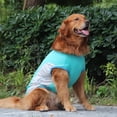 thumbnail image 3 of Promotion Clearance Summer Pet Cooling Vest for Dogs Lightweight Jacket Reflective Quick-cooling Pet Coat for Small Medium and Large Dog Clothing Pink 2XL, 3 of 18