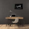 thumbnail image 4 of Kisworo, Sebastian 24x17 Black Modern Framed Museum Art Print Titled - The White Swan, 4 of 5