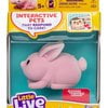 Pinkee Bunny