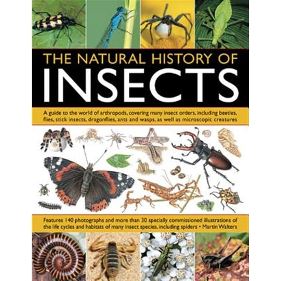 Pre-Owned The Natural History Of Insects : A Guide to the World of Arthropods, Covering Many Insect Orders, Including Beetles, Flies, Stick Insects, Dragonflies, Ants and Wasps, as well as Microscopic Creatures (Paperback)