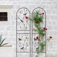 thumbnail image 5 of Aukfa Garden Trellis for Climbing Plants, 4 Pack Outdoor Metal Trellis 71" x 19.7", Support Dragonfly Decor,Black, 5 of 6