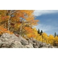 thumbnail image 2 of Bush, Marie 18x13 White Modern Wood Framed Museum Art Print Titled - USA, Colorado, Rocky Mountain NP Autumn scenic, 2 of 4