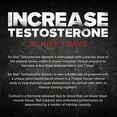thumbnail image 4 of Testosterone Booster for Men | Six Star Pro Nutrition | Test Booster for Men | Extreme Strength + Enhances Training Performance + Scientifically Researched | Test Boost Supplement, 60 Pills, 4 of 4