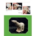 thumbnail image 2 of Introduction to Soapstone Sculpting (Paperback), 2 of 4