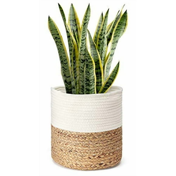 Mkono Cotton Rope Plant Basket with Water Hyacinth Modern Indoor Planter Up to 10 Inch Pot Woven Storage Organizer with Handles Home Decor, 11" x 11"