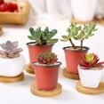 thumbnail image 4 of POINTERTECK 100 Pcs Plants Nursery Pots 3.5inch Flowerpot Reusable Plant Seeding Nursery Pot Waterproof Plastic Pots Seed Starting Pots Containers Set, 4 of 9