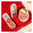 thumbnail image 4 of Bebida alcohólica preparada Barullo Mix Cooler con Tequila Sandia Spicy 355 ml, 4 of 4