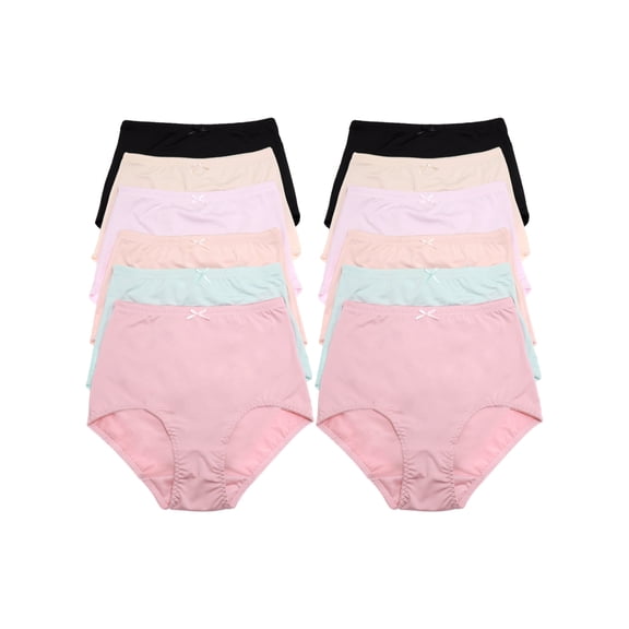 Angelina Women's Nylon High Waist Classic Briefs (12-Pack)