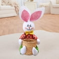 thumbnail image 1 of Cesta de Conejo de Pascua Fernando Canasta de Pascua, 1 of 8