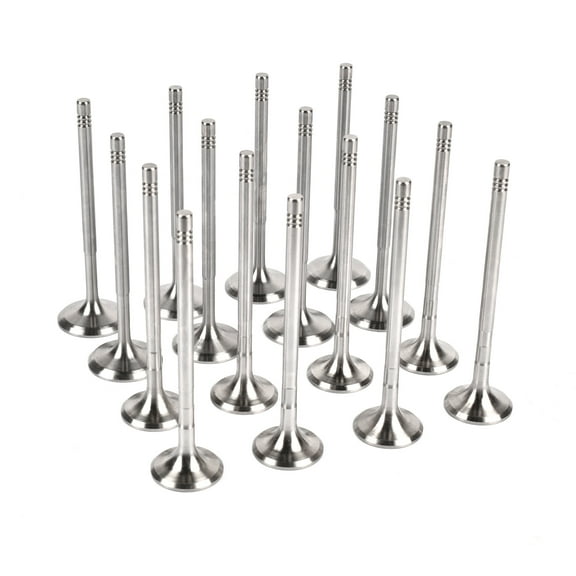 NEWZQ 16Pcs Engine Exhaust / Intake Valve Kit for 2012-2015 Mercedes-Benz C250 SLK250 Coupe Sedan