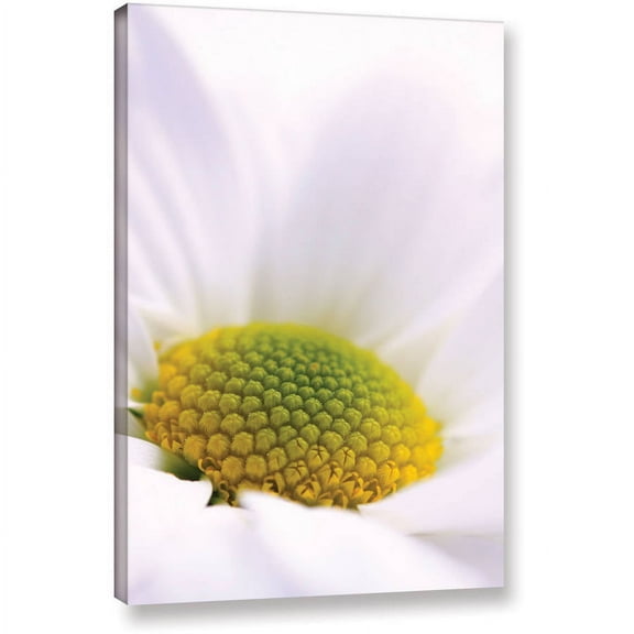 ArtWall Dragos Dumitrascu "The Whisper" Gallery-wrapped Canvas Art