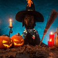 thumbnail image 4 of Disfraz de Halloween para mascotas, disfraz de gato, capa con sombrero, mago, animal pequeño, gatito, cachorro, cosplay, fiesta de Halloween, decoración para mascotas (telaraña) oso de fresa Electrónica, 4 of 5