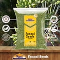 thumbnail image 4 of Rani Fennel Seeds (Saunf Sabut) Whole Spice 80oz (5lbs) 2.27kg Bulk ~ All Natural | Gluten Friendly | NON-GMO | Kosher | Vegan | Indian Origin, 4 of 8