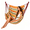Multicolor[E], variant on Bxaolu Hammock Chair Hanging Rope Swing for Outside Indoor for Bedroom, Outdoor, Patio Use, Heavy-Duty Hanging Rope Swing Seat Supports 300 Lbs