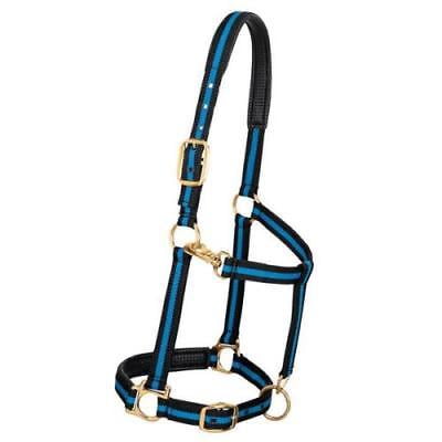 Yearling Big D Adjustable Snap Halter with Adjustable Chin and Snap Blue