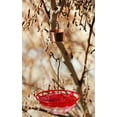 Skinny Ant Moat for Hummingbird Feeders All Natural Ant Traps Mote